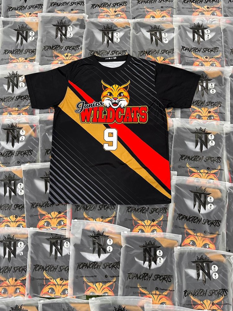 Wildcats custom baseball uniforms